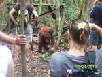 Feeding Station - Borneo Eco Tour