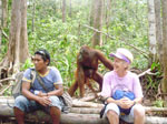 Borneo Eco Tour