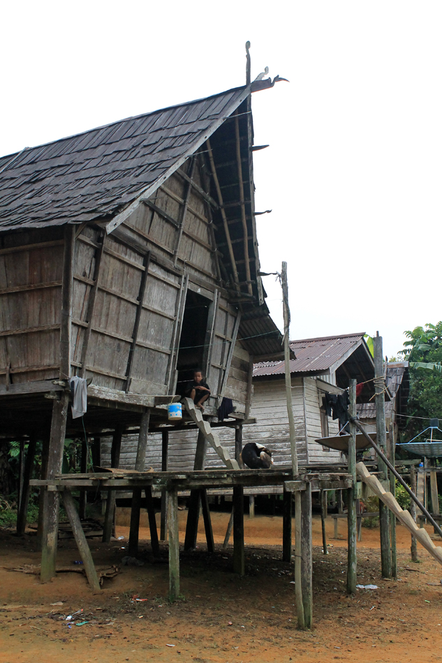 longhouse